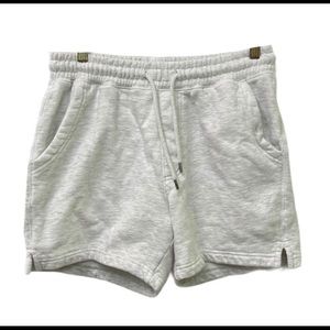 Urban Outfitters Heather Gray Jogger Sweat Shorts